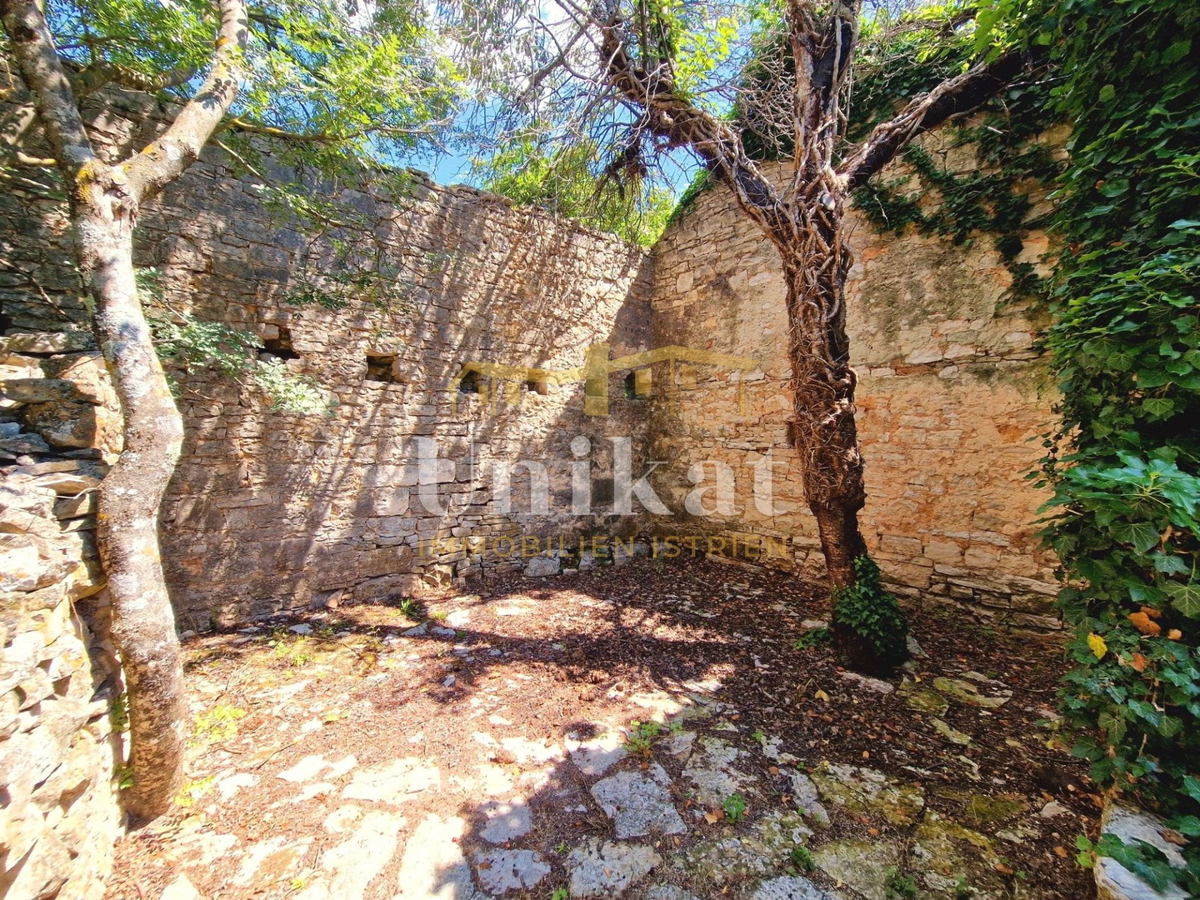 Avtentično posestvo s kamnito hišo in velikim zemljiščem